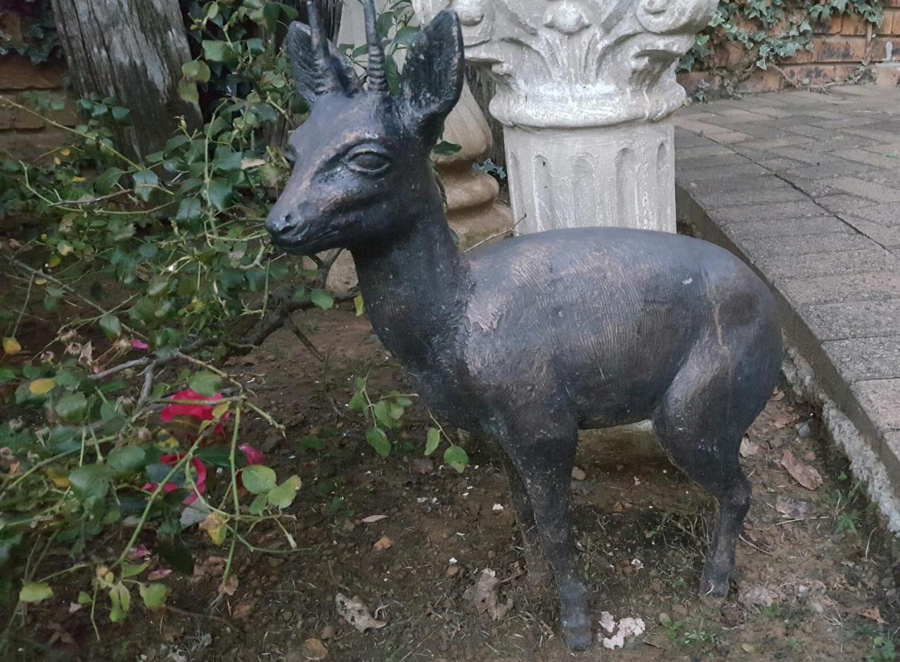 Gemsbok Cottage Bethlehem Bagian luar foto